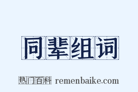 同辈组词是什么意思的图片